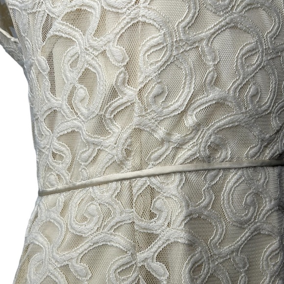 Adrianna Papell Ivory Jacquard Embroidered Lace Overlay Sheath Midi Dress Size 6 - Picture 13 of 16